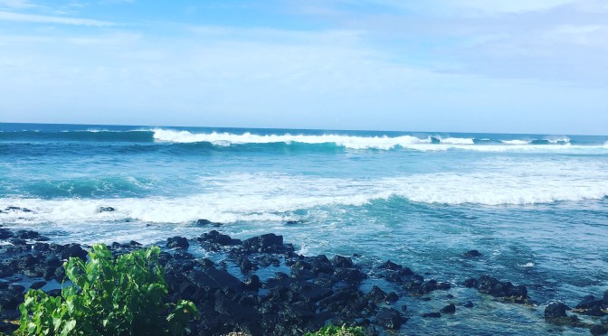 ‘Tis the Season (in Hawaii)